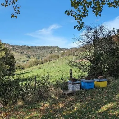 Willa La Maison De La Prade, Classee 2 Etoiles, Linge Founi *